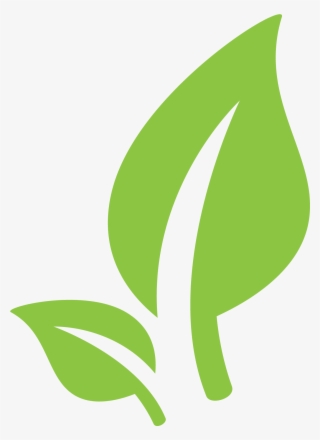 Sprout Png #8927816