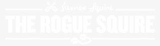 Welcome To The Rogue Squire - Rogue Squire #8928745