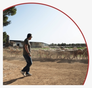 2 Oz - Arch #8929090