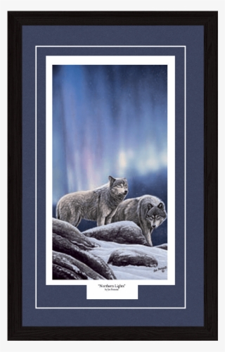 Northern Lights - Cougar #8929495