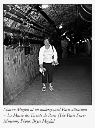 An American In Paris Realizes Arizona Could Do More - Snapshot #8930108