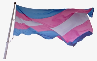 Npp National Progress Party Flag 7 - Trans Flag Waving Gif #8930194