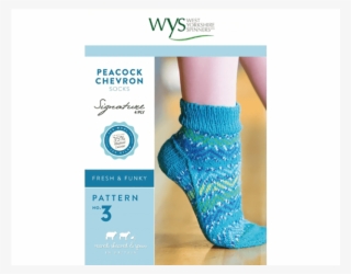 Wys Signature 4 Ply Sock Yarn #8932280