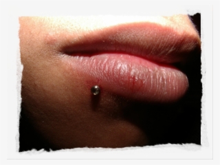 Banner Black And White Gassinger More Galerie Bilder - Piercing Unterhalb Der Lippe #8933170