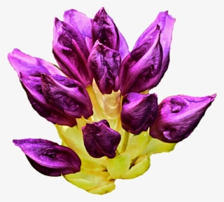 933 X 856 6 - Flower #8934507