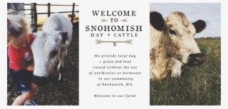 Banner - Dairy Cow #8934754