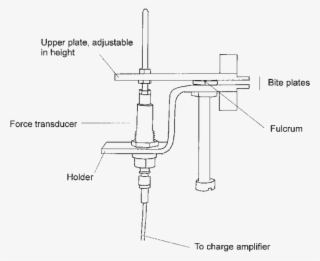 Experimental Setup Used To Register Bite Forces In - Diagram #8938855