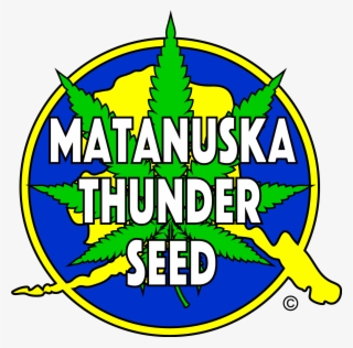 Matanuska Thunder Seed Logo - Emblem #8939183
