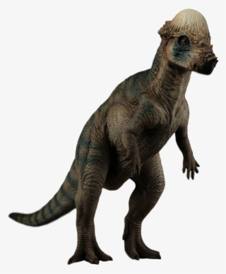 Pachycephalosaurus - Skyrim Dog Png #8940345