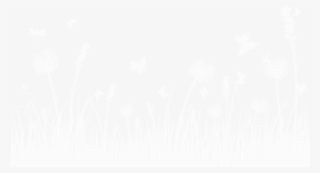 Pole - Wildflower #8941392