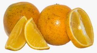 There Is Only One Ingredient In The Owl & Goose Orange - Rangpur #8943141