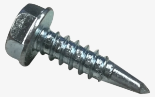 Eliminator Winter Cover Replace Screw - Chainsaw #8944310