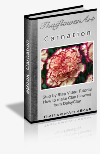 Japanese Camellia #8944677