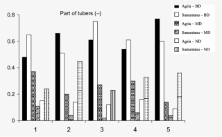 Relative Number Of The Sample Tubers Classified Under - Diagram #8944852