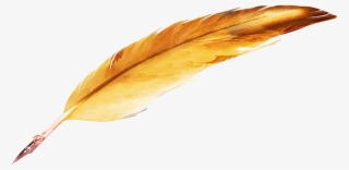 Quill Png - 鹅毛 笔 #8945240 Quill Png - 鹅毛 笔 #8945240