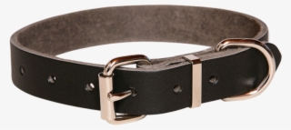 Taurus Plain Leather Heavy Duty Dog Collar 25mmx485mm - Buckle #8945449 Taurus Plain Leather Heavy Duty Dog Collar 25mmx485mm - Buckle #8945449
