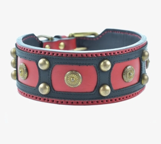 Dog Collar Transparent Background Png - Dog Collar Transparent Background #8945526