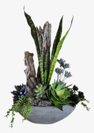 Forever Succulents - Ikebana #8945620