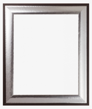 Magnesium Silver Frame 16" - Picture Frame #8945629