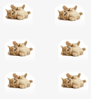 1 - Cute Ginger Kittens #8945658