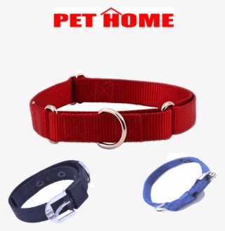 Classic - Belt #8945691