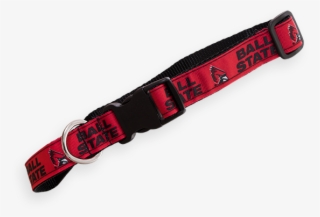 Cover Image For Dog Collar, Medium - Strap #8945730