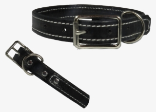 1 Inch Black White Collar Stiching - Buckle #8945831