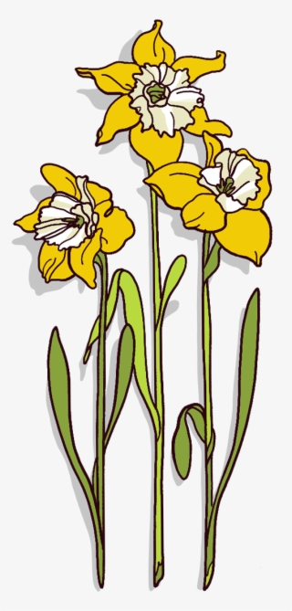 This Was Enough To Prompt Further Study, And In 1958, - Iris #8946271