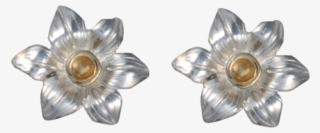 Earrings #8946643