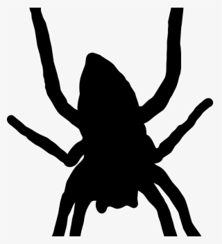 Free Spider - Spider Web Silhouette Clip Art #8947147