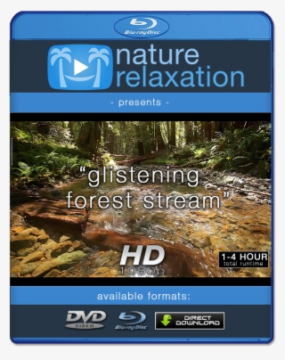 "glistening Forest Stream" Looping Nature Relaxation - Blu-ray Disc #8947302