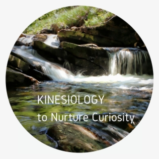 Kinesiology To Nurture Curiosity - Tributary #8947642