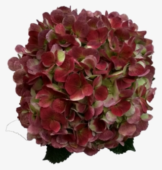 Hydrangea Red Antique - Artificial Flower #8947807