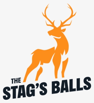 Stag Party Website - Elk #8948084