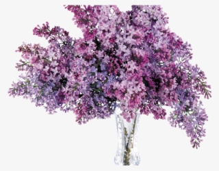Hydrangea Clipart Plant Png - Flower Vase Transparency Png #8948382