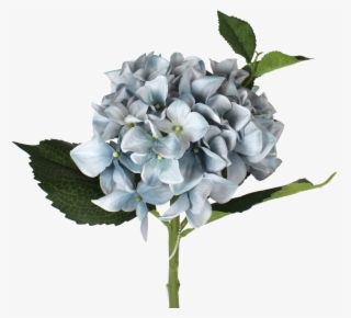 Blue Hydrangea Stem - Bouquet #8948518