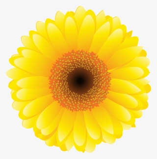 Yellow Flower Png Clip Art Image - English Marigold #8948598