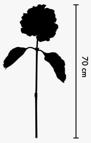 Size - Silhouette #8948905