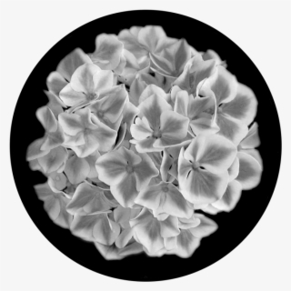 Hydrangea - Artificial Flower #8949046