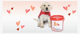 Red Puppy Appeal - Labrador Retriever #8949447