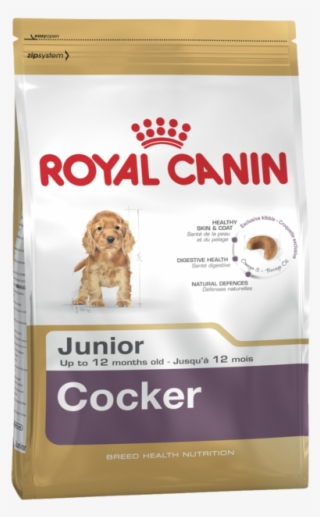 Royal Canin French Bulldog Junior Food #8949750