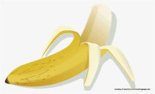 Banana Fruit Clipart Banana Peel Pictures Clip Art #8950049