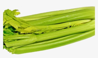 Green Celery Png Image - Chard #8950272