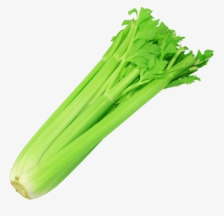 Celery Stalk 1 Pk - Transparent Image Of Celery #8950349