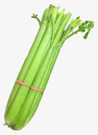 Celery - Leek #8950602