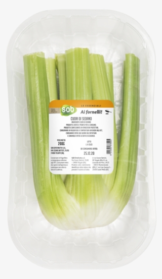 Leek #8950704