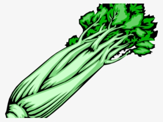 Vegetables Clipart Celery - Transparent Celery Clip Art #8951358