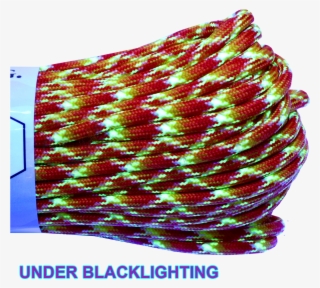 550 X 100ft Paracord - Steps #8952134