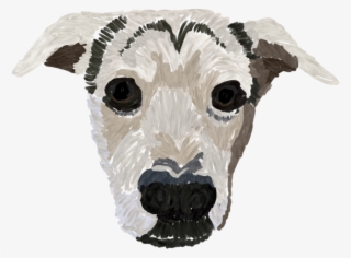 Crosby Drawing - Whippet #8952462