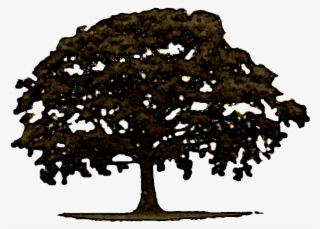 Down Victory Road - Tree #8952623